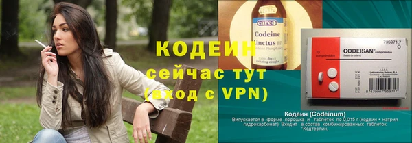прущие грибы Бугульма
