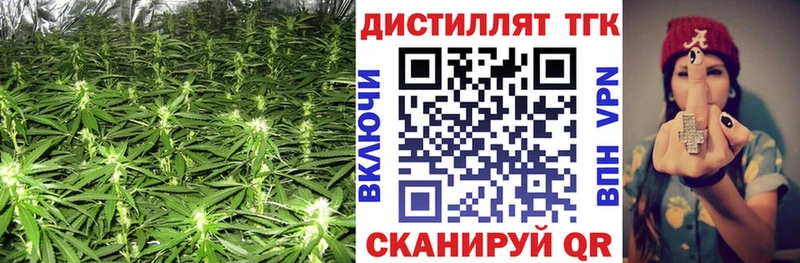 Купить закладки  Высоцк  ТГК концентрат 