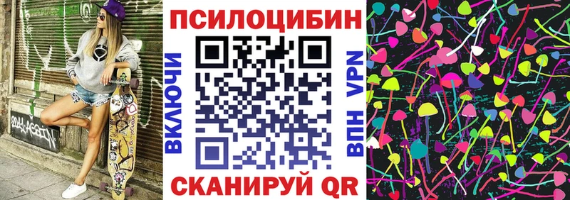 Купить закладки  Высоцк  Псилоцибиновые грибы Magic Shrooms 